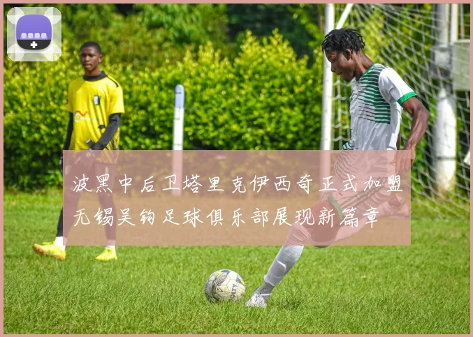 波黑中后卫塔里克伊西奇正式加盟无锡吴钩足球俱乐部展现新篇章